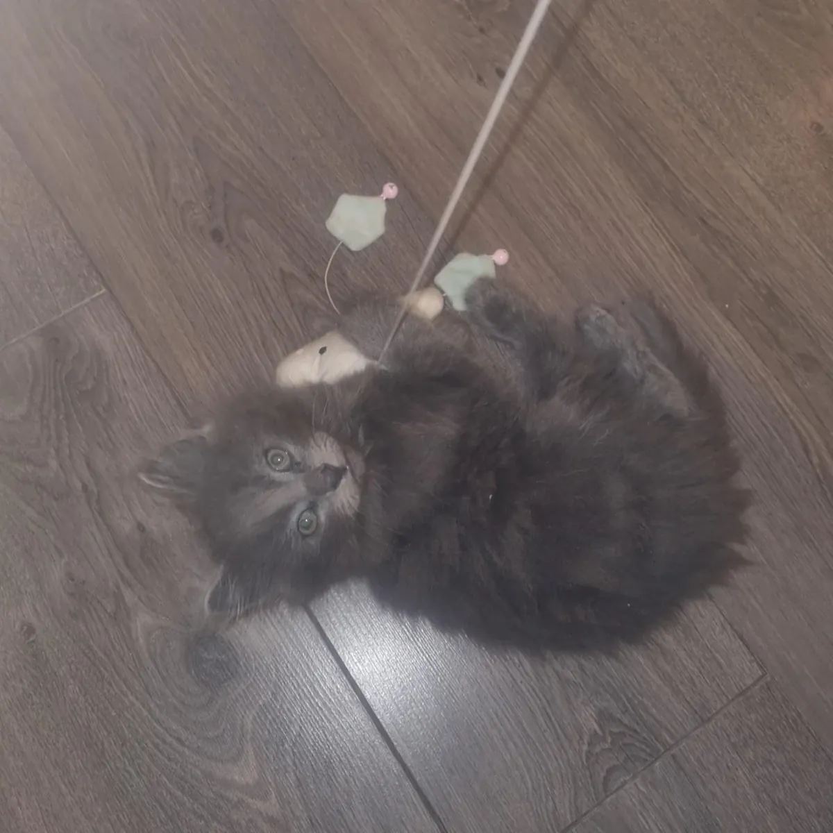 Nous ne sommes pas pressés, nous cherchons la bonne personne pour notre enfant.