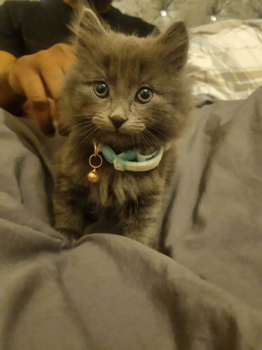 Nous ne sommes pas pressés, nous cherchons la bonne personne pour notre enfant.