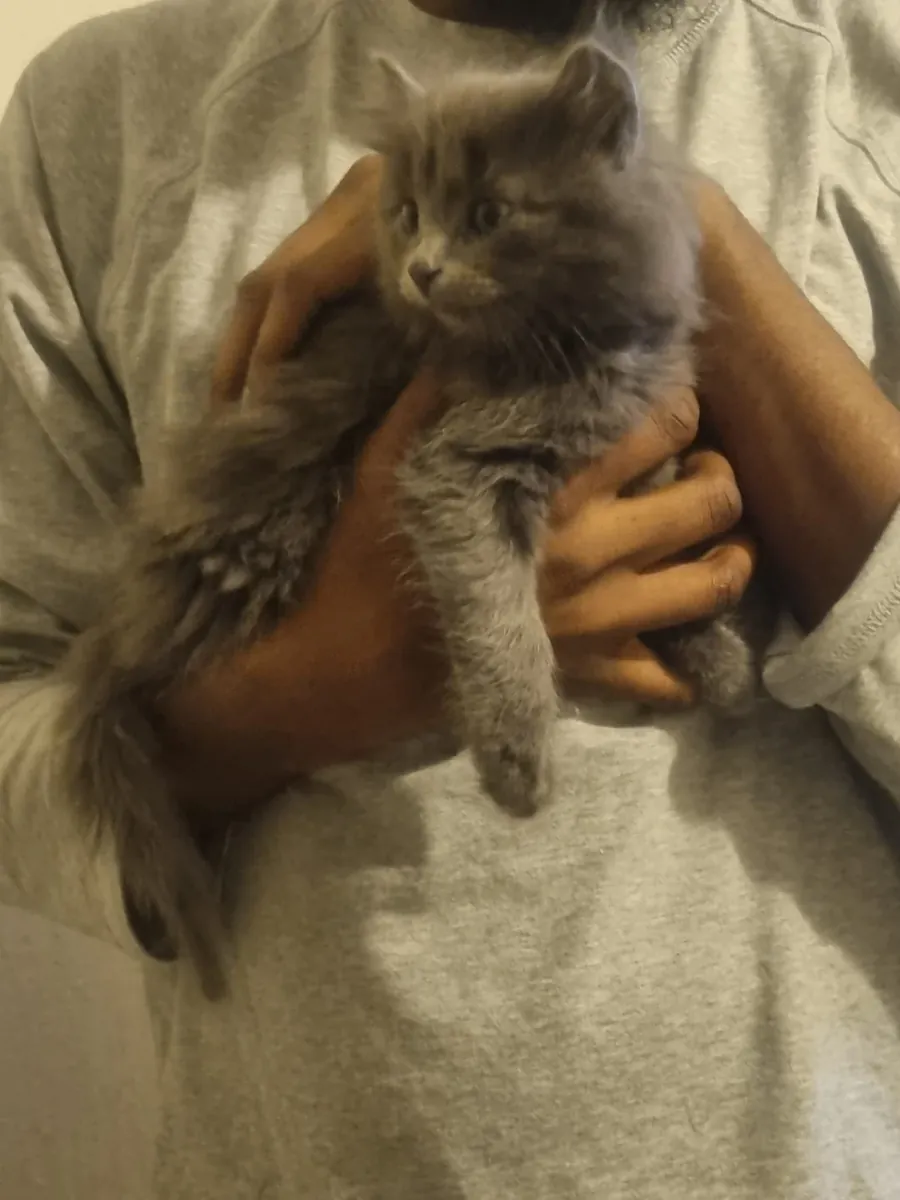 Nous ne sommes pas pressés, nous cherchons la bonne personne pour notre enfant.