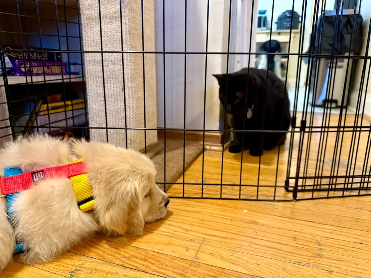 çok seviyoruz ama yeterli zamanı ayıramıyoruz