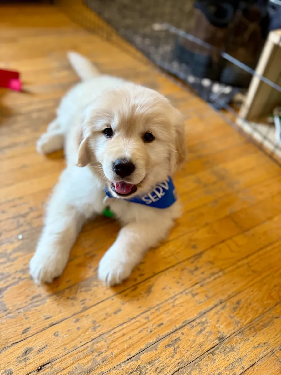 çok seviyoruz ama yeterli zamanı ayıramıyoruz