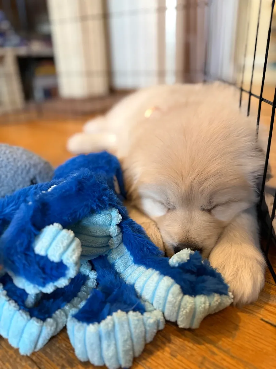 çok seviyoruz ama yeterli zamanı ayıramıyoruz