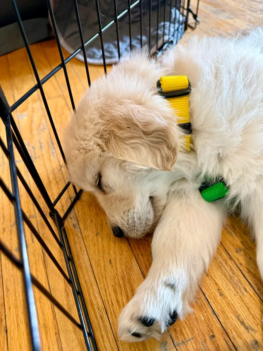 çok seviyoruz ama yeterli zamanı ayıramıyoruz