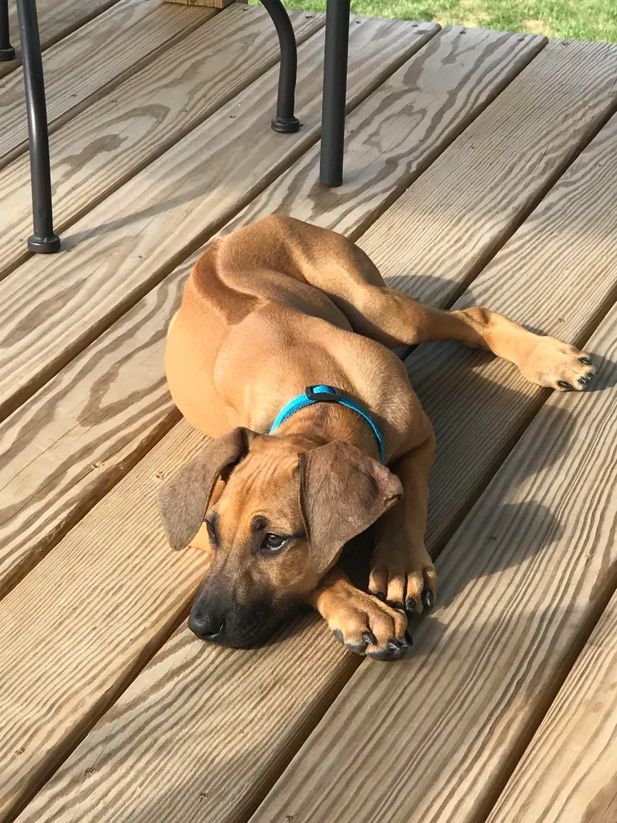 not suitable for my current setup