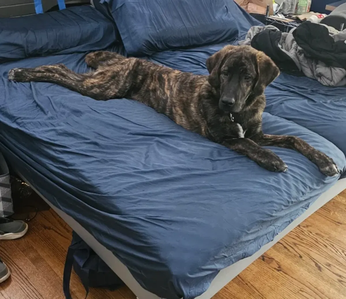 Оно не подходит для этой квартиры, мы поняли это слишком поздно.