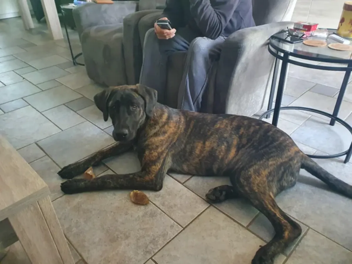 Оно не подходит для этой квартиры, мы поняли это слишком поздно.