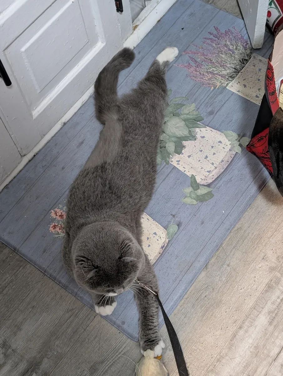 Привычный ему распорядок дня изменился, поэтому мы ему его и предлагаем.