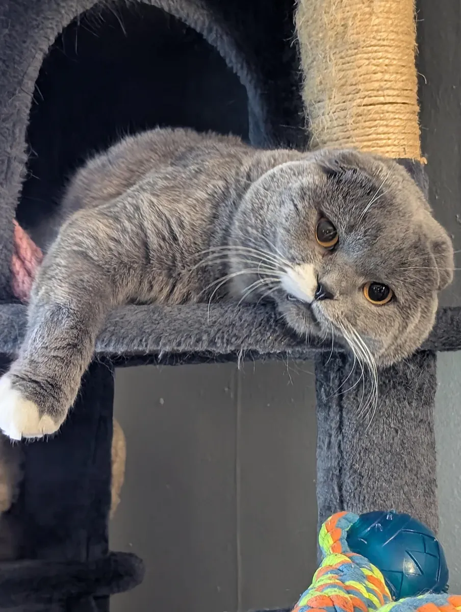 Привычный ему распорядок дня изменился, поэтому мы ему его и предлагаем.