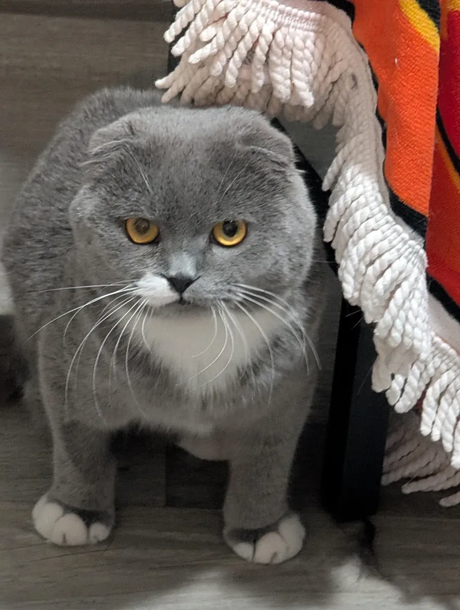 Привычный ему распорядок дня изменился, поэтому мы ему его и предлагаем.