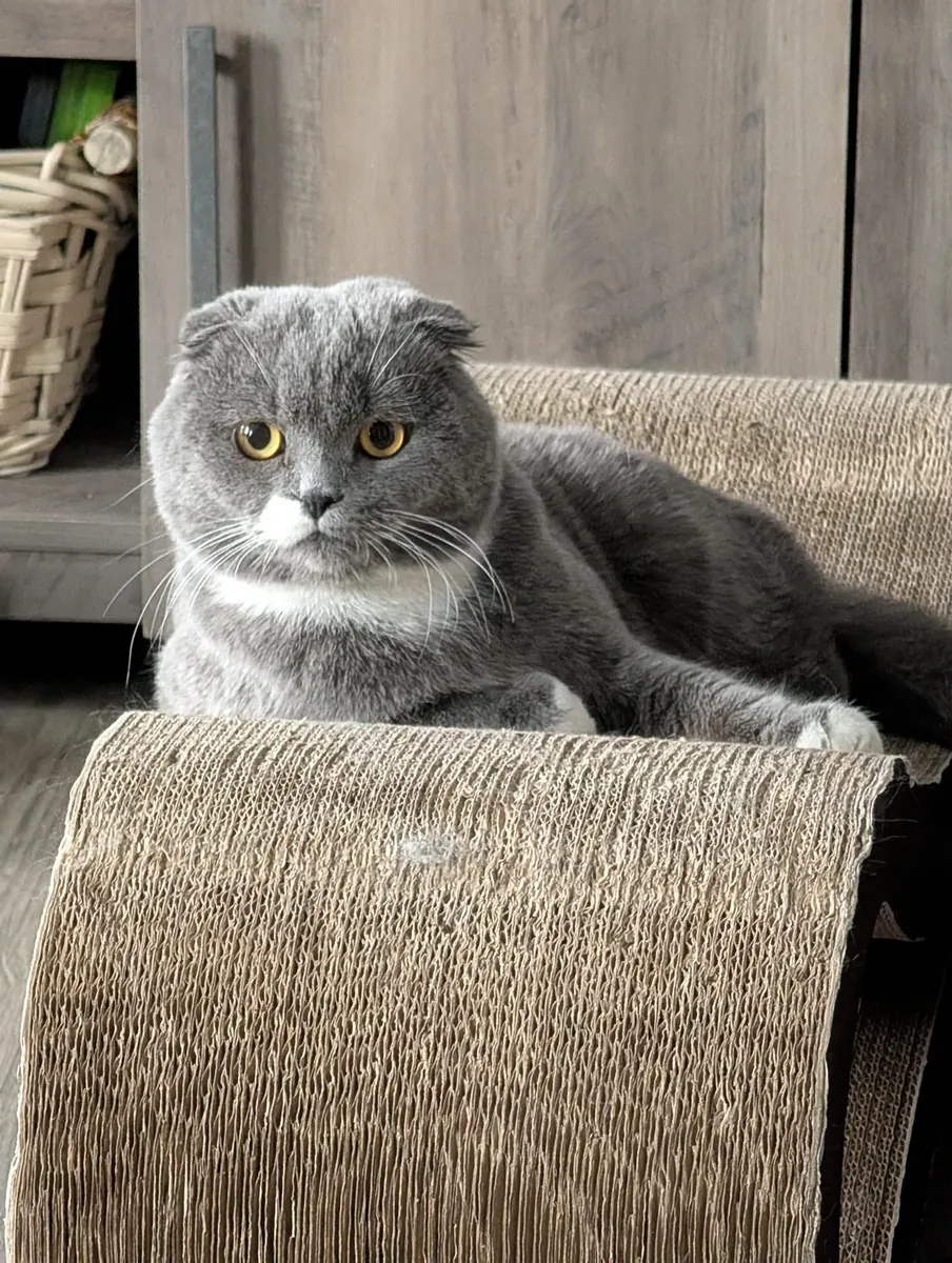 Привычный ему распорядок дня изменился, поэтому мы ему его и предлагаем.