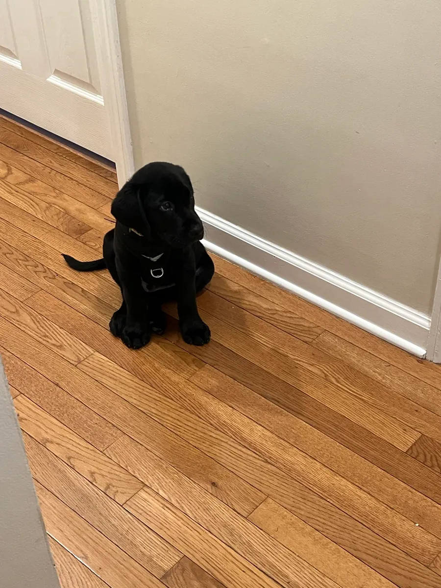 Фермер, у меня недостаточно времени.