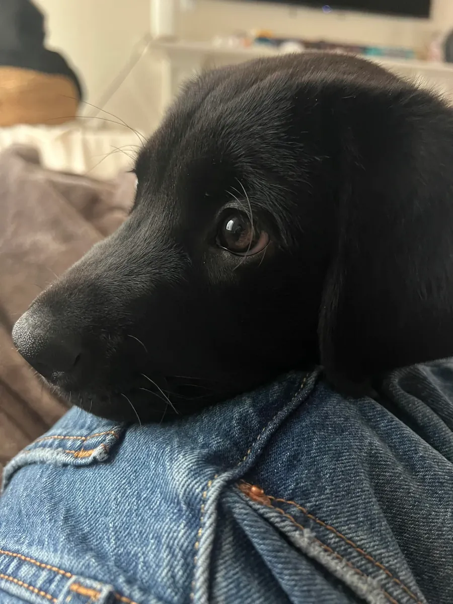 Фермер, у меня недостаточно времени.