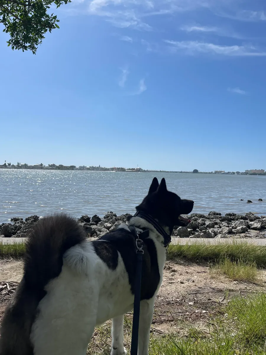 no es para principiantes