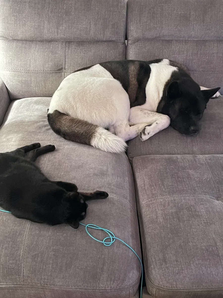 no es para principiantes