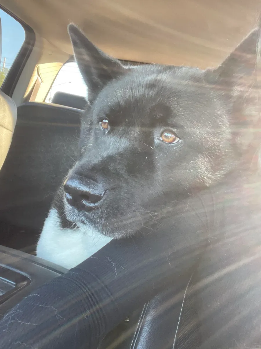 no es para principiantes