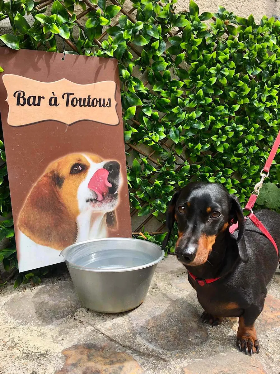 Muchos cafés - Lyon