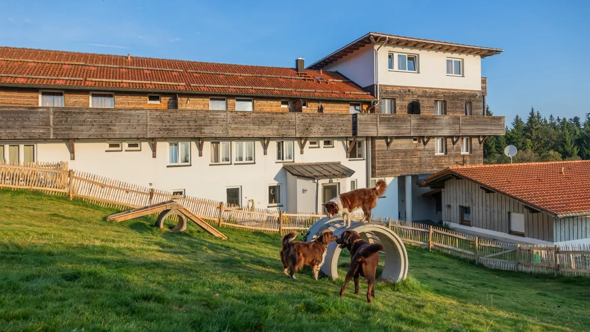 Waldeck Köpek Tatil Köyü - Berlin