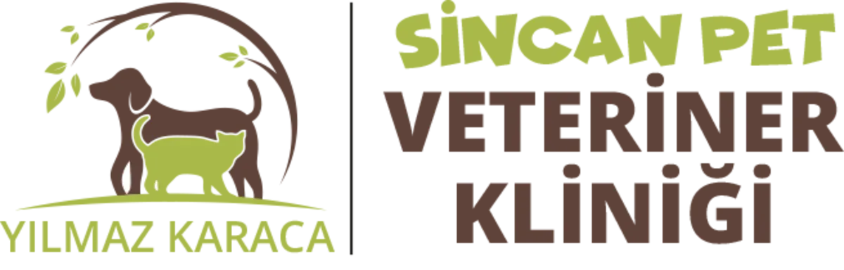 兽医服务 - Ankara