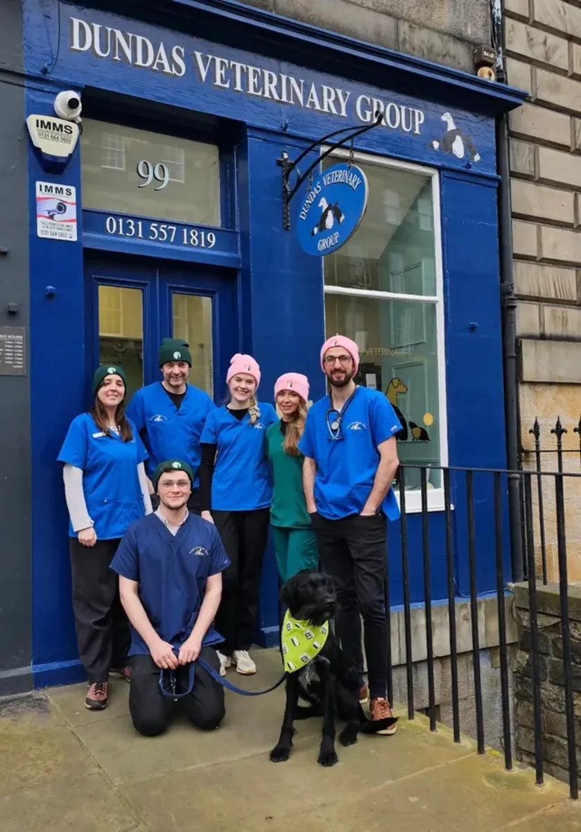 爱丁堡专业兽医服务 - Edinburgh