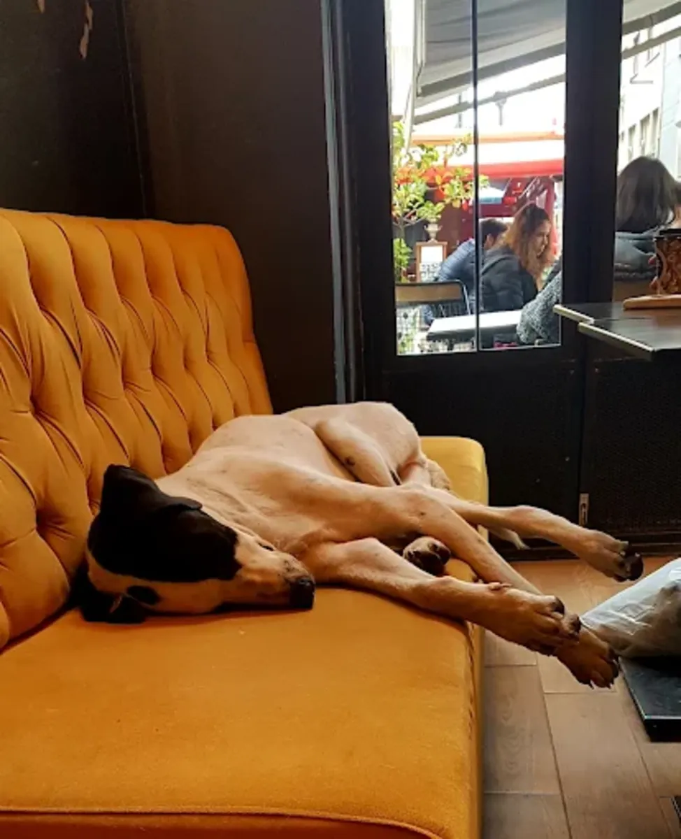 13号咖啡和啤酒吧 - İzmir