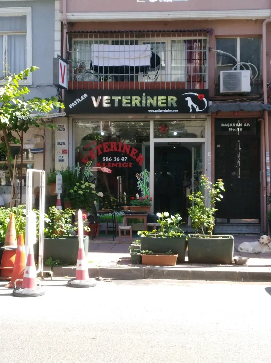一般兽医健康和治疗服务 - İstanbul
