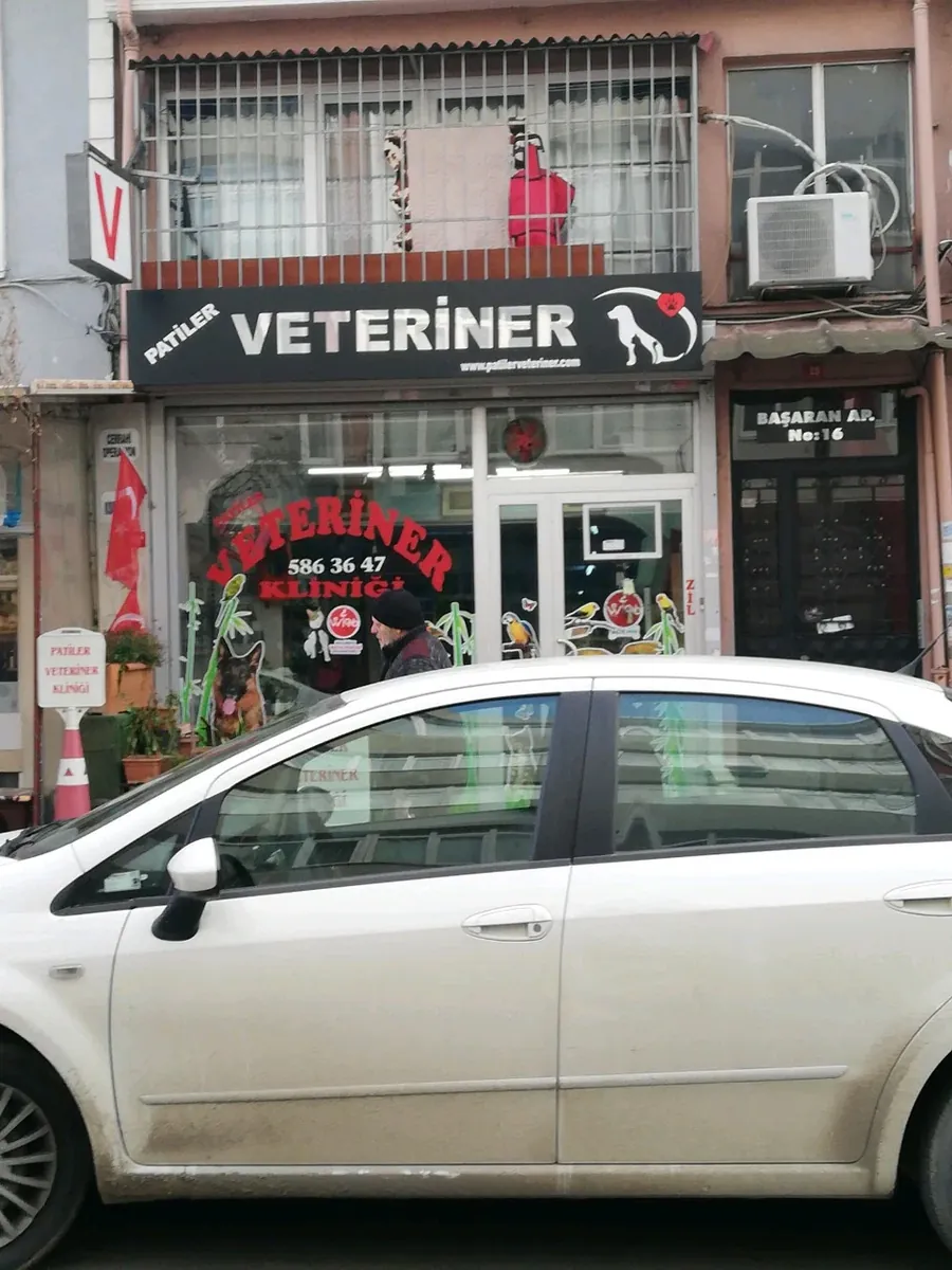 一般兽医健康和治疗服务 - İstanbul