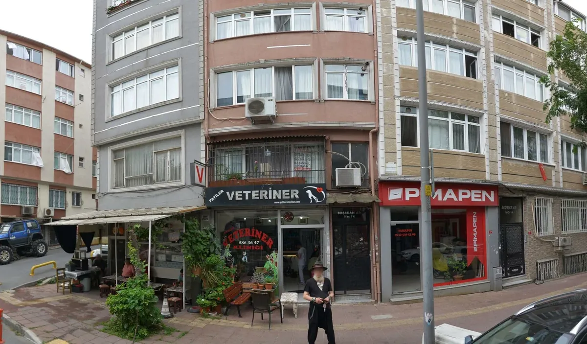 一般兽医健康和治疗服务 - İstanbul