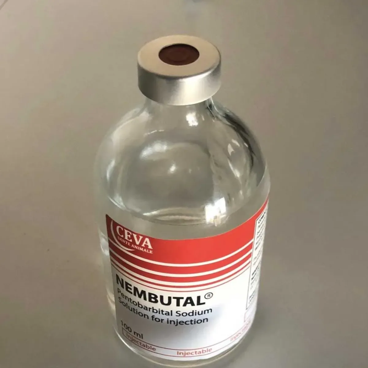 Sodyum pentobarbital sıvısı