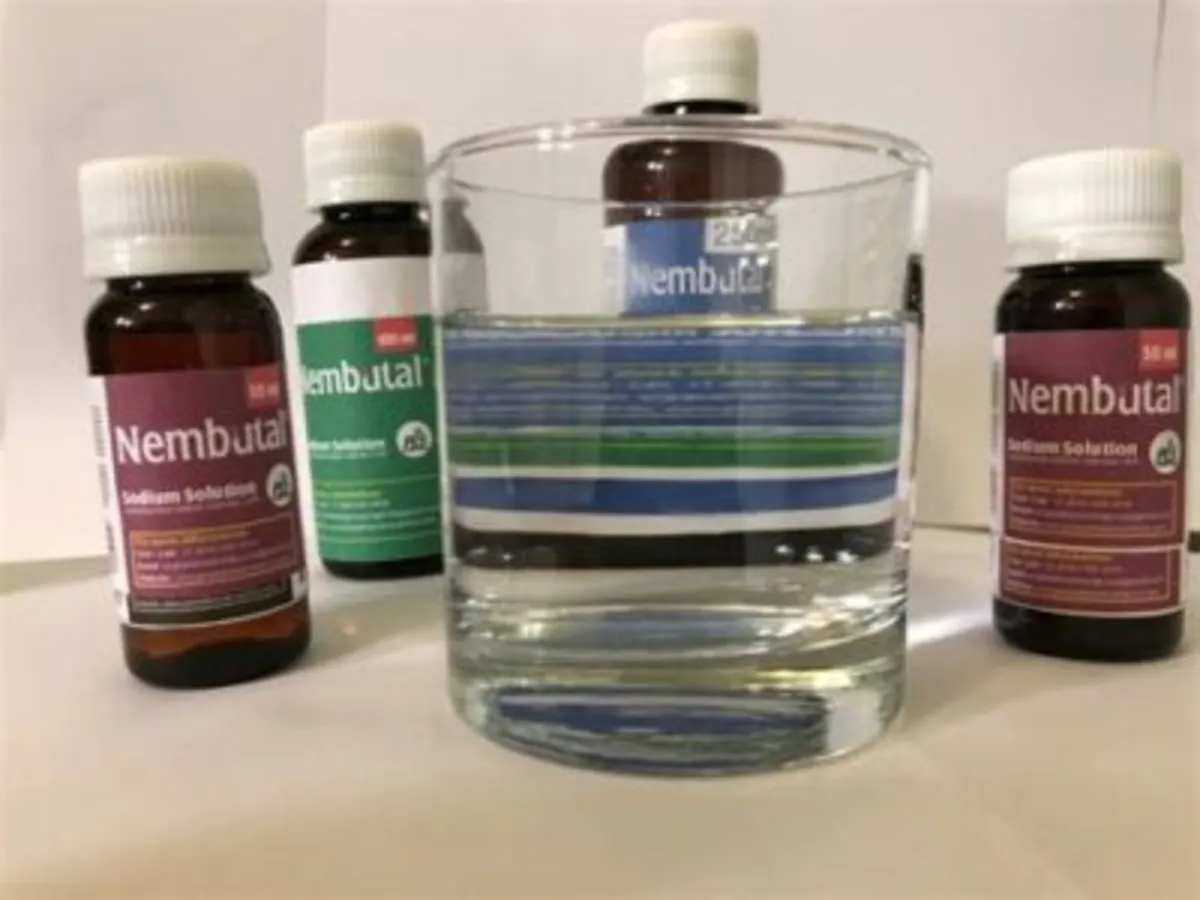 Nembutal Solüsyonu