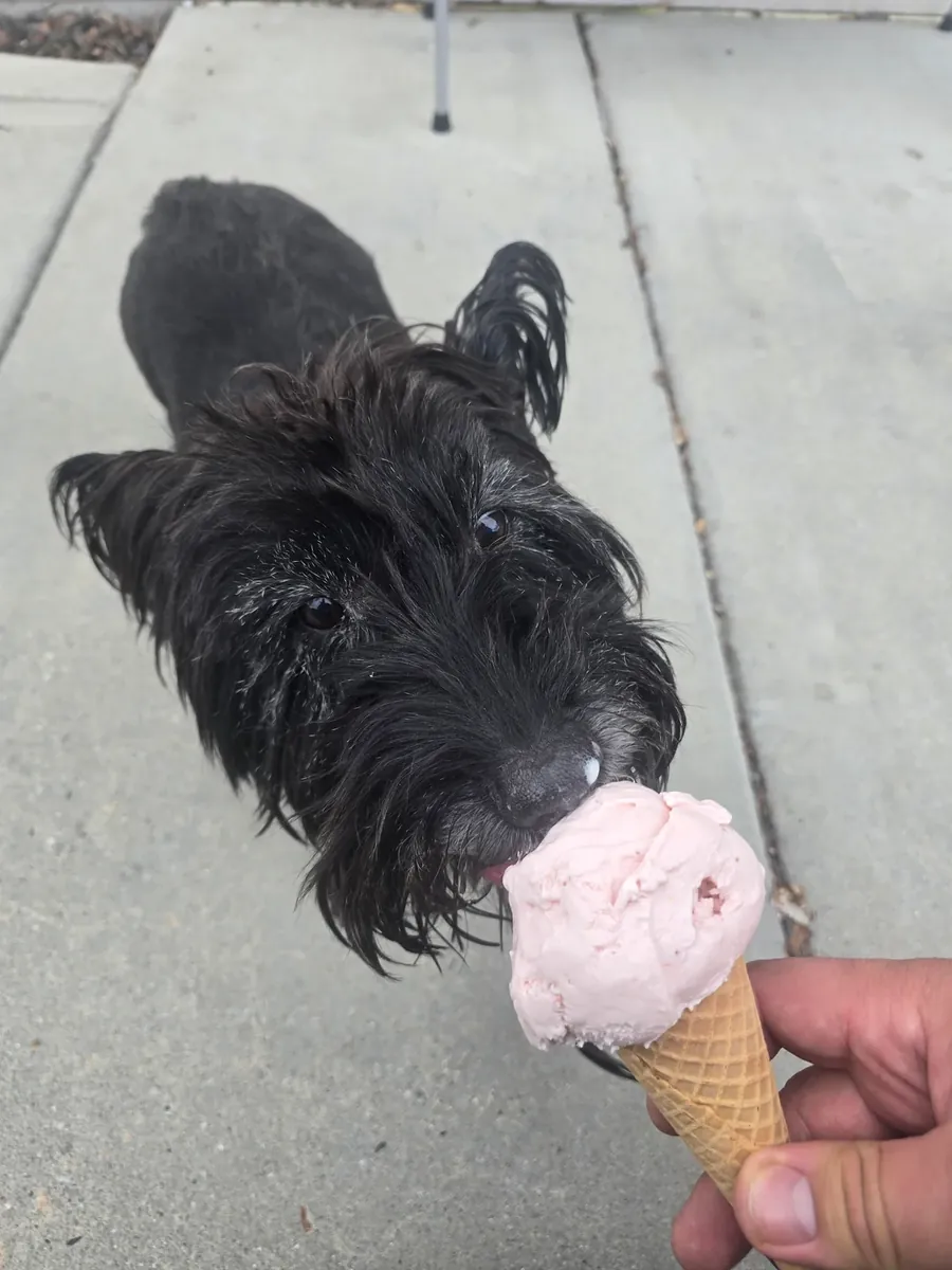 not getting the routine it needs