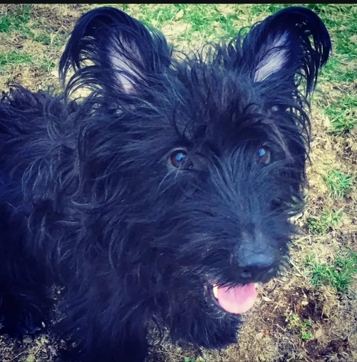 not getting the routine it needs