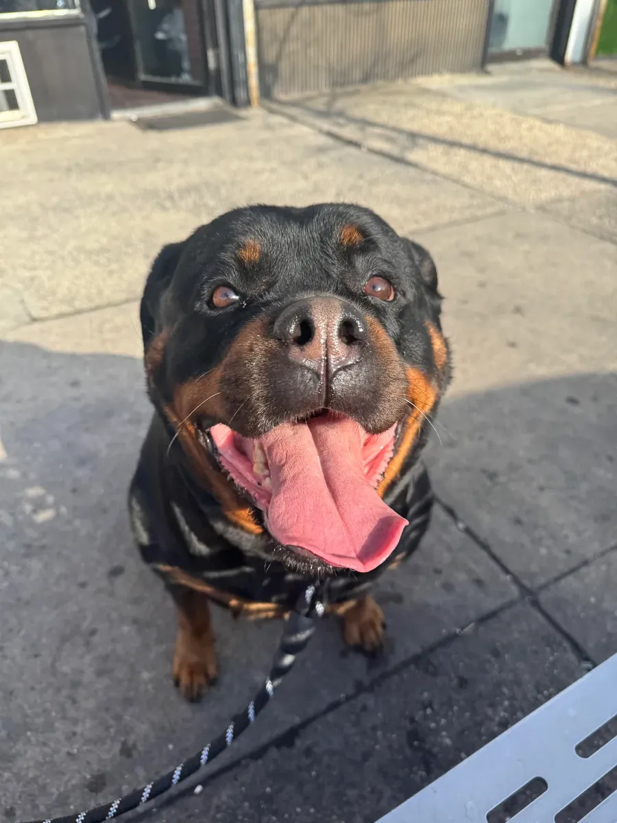 It's not for everyone.