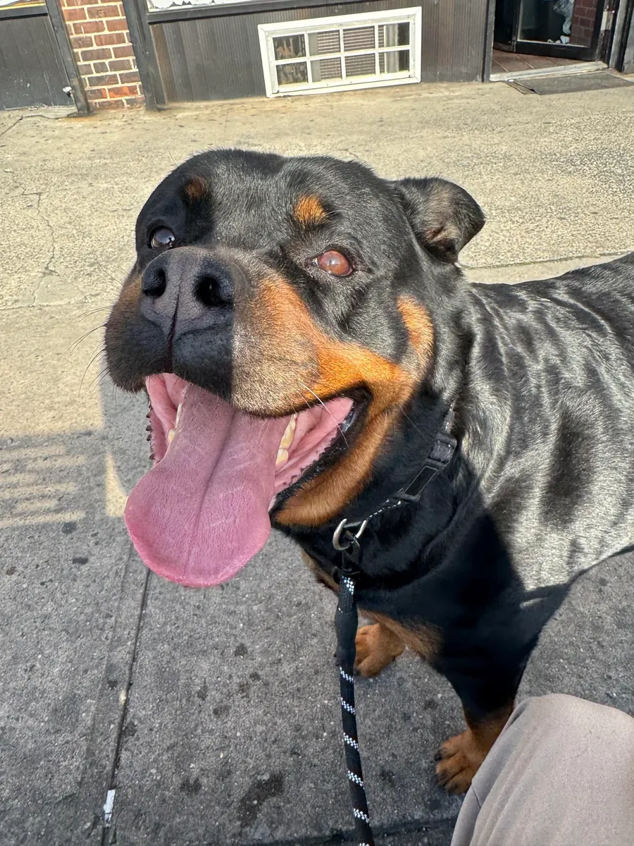 It's not for everyone.