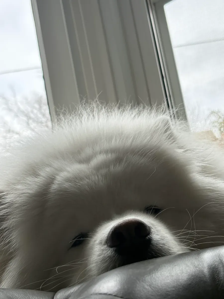 It requires more care than I can give.