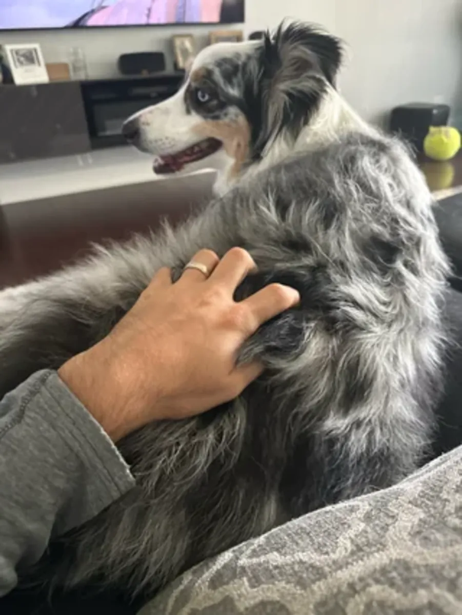 Слишком много энергии для моего распорядка дня