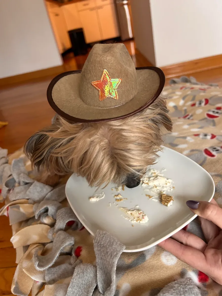 Yorkshire, lack of time