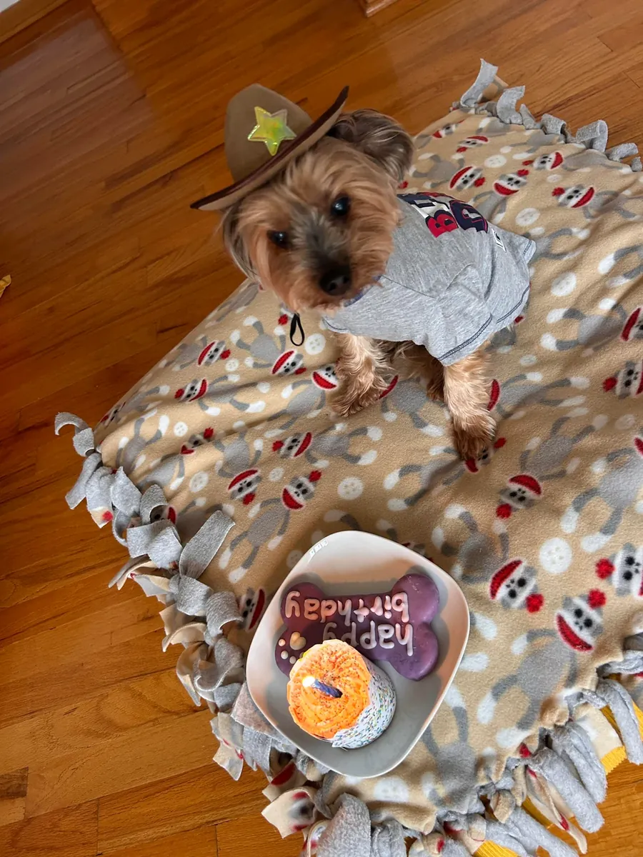 Yorkshire, lack of time