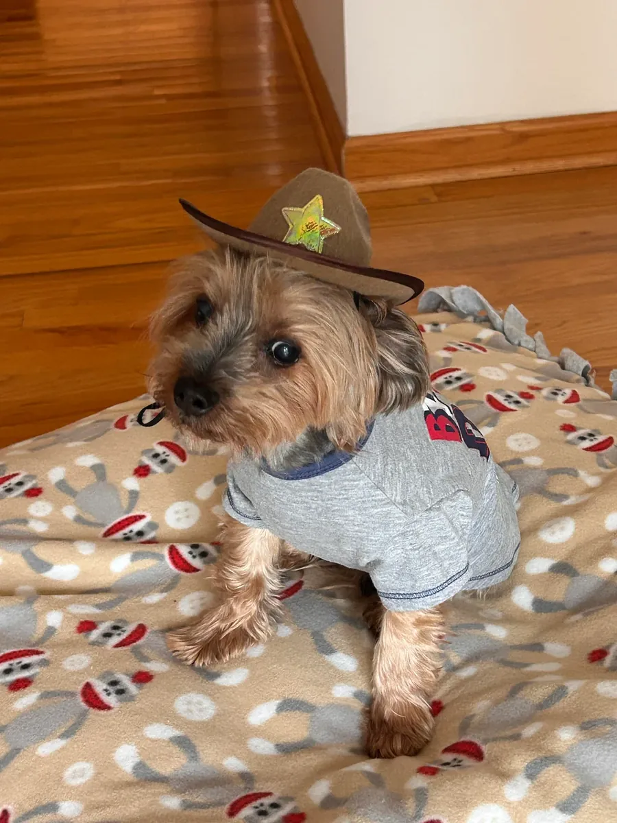 Yorkshire, lack of time