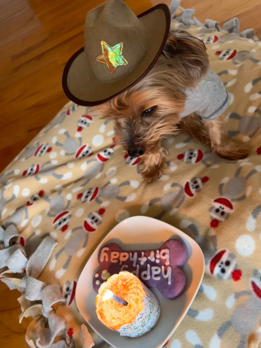 Yorkshire, lack of time