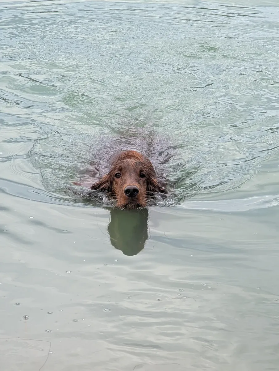 not compatible with my current routine