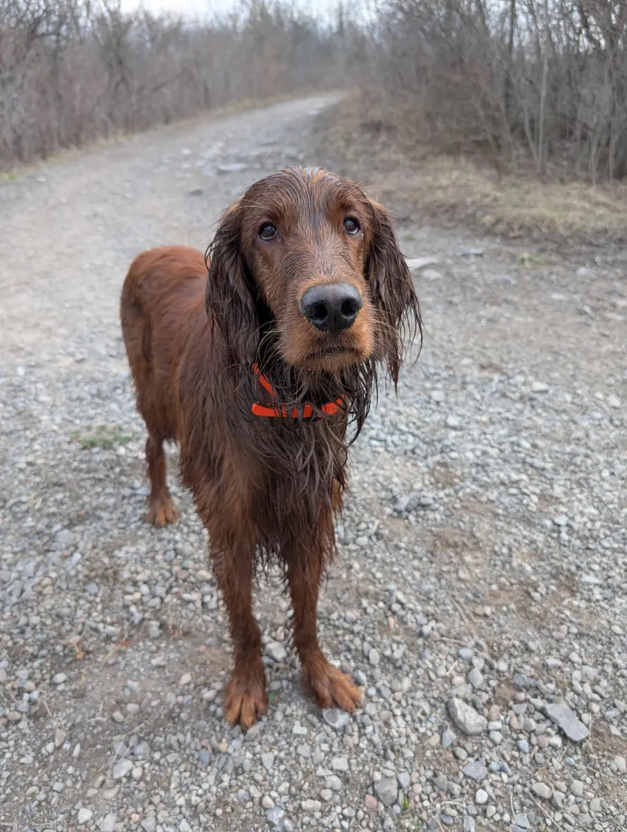 not compatible with my current routine