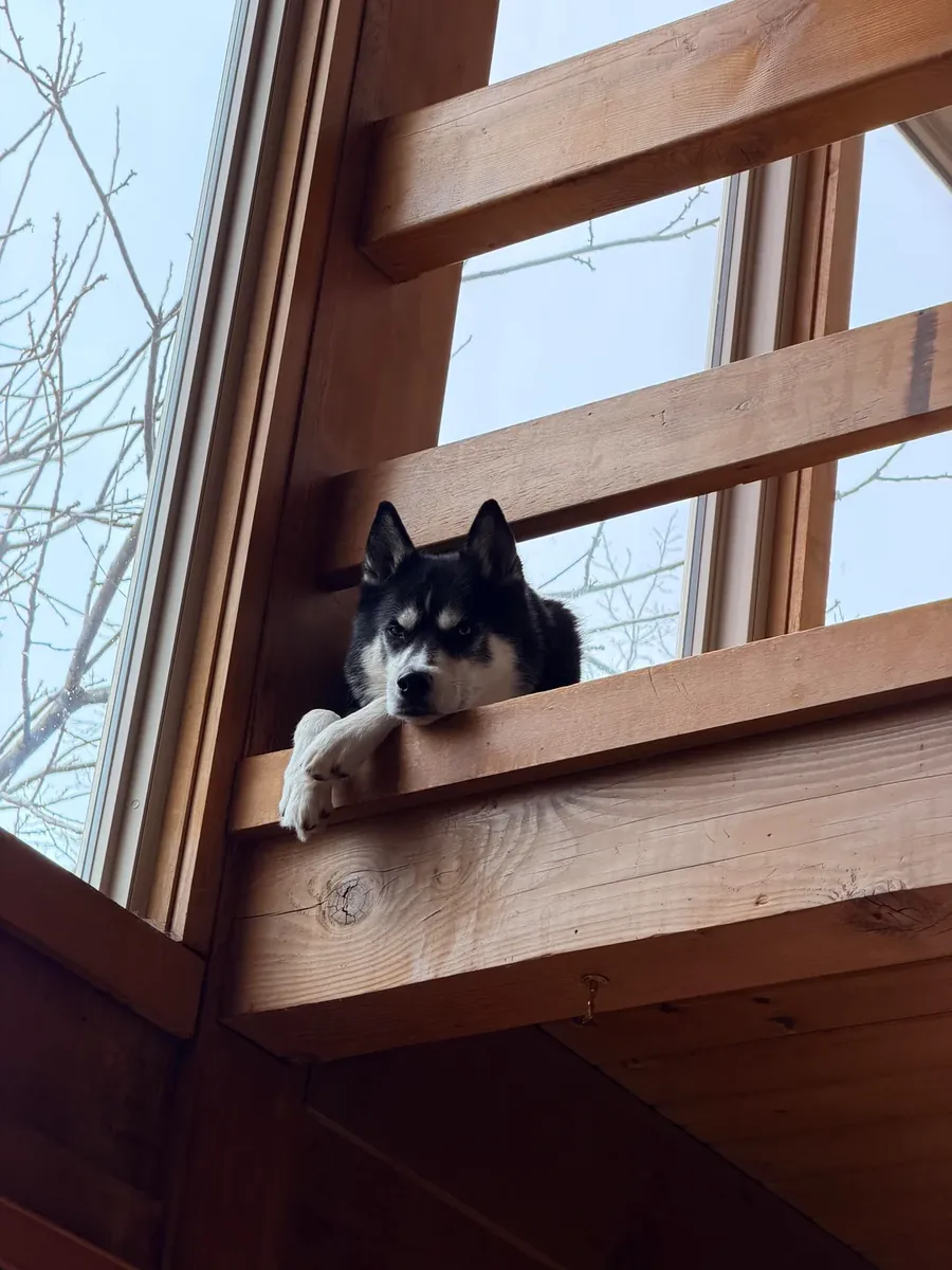 Elle avait trop d'énergie, elle ne pouvait pas suivre notre rythme.