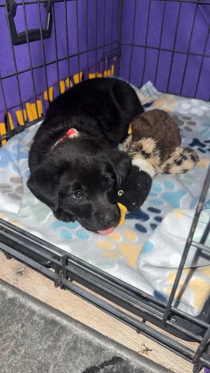 oğluma bakamıyorum artık, ciddi düşünen yazsın