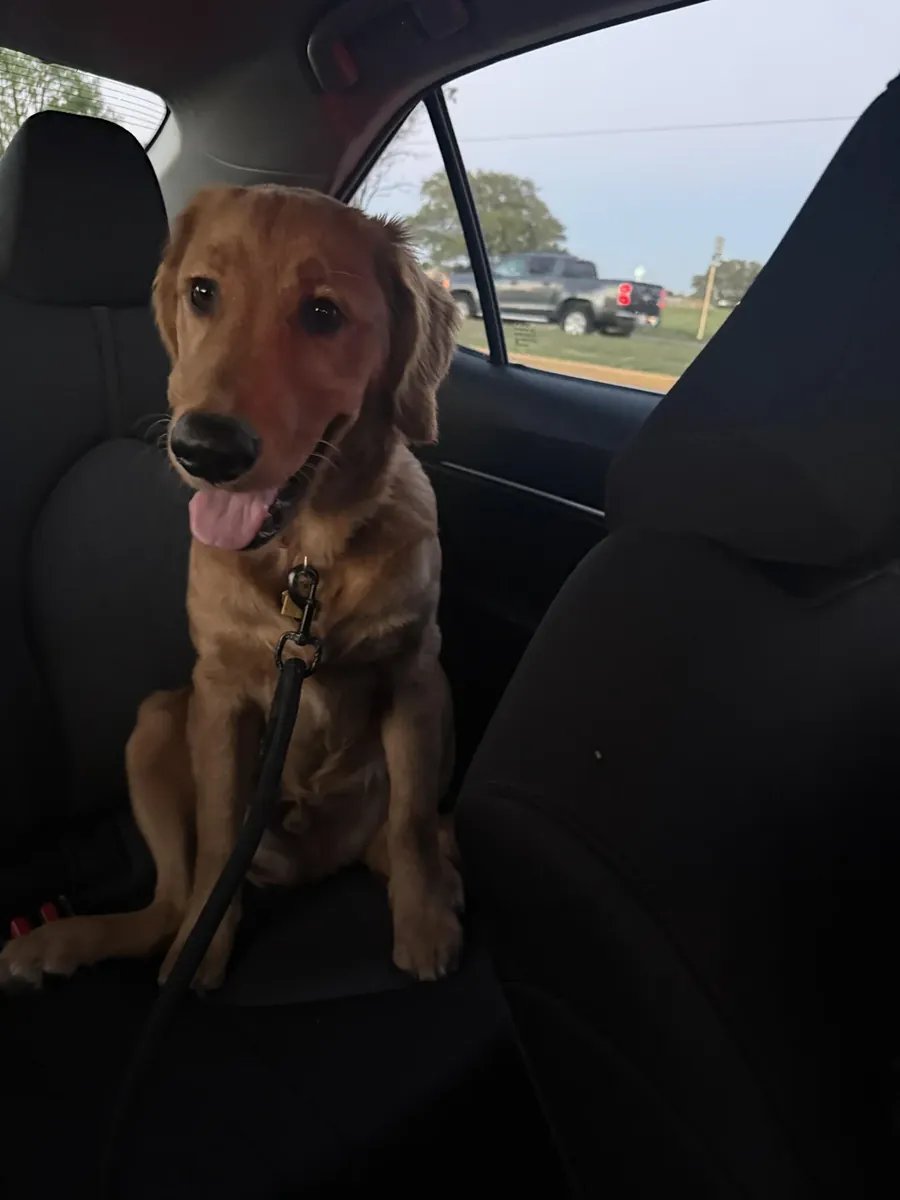 Lo compramos con gran entusiasmo, pero no fue suficiente para nosotros.