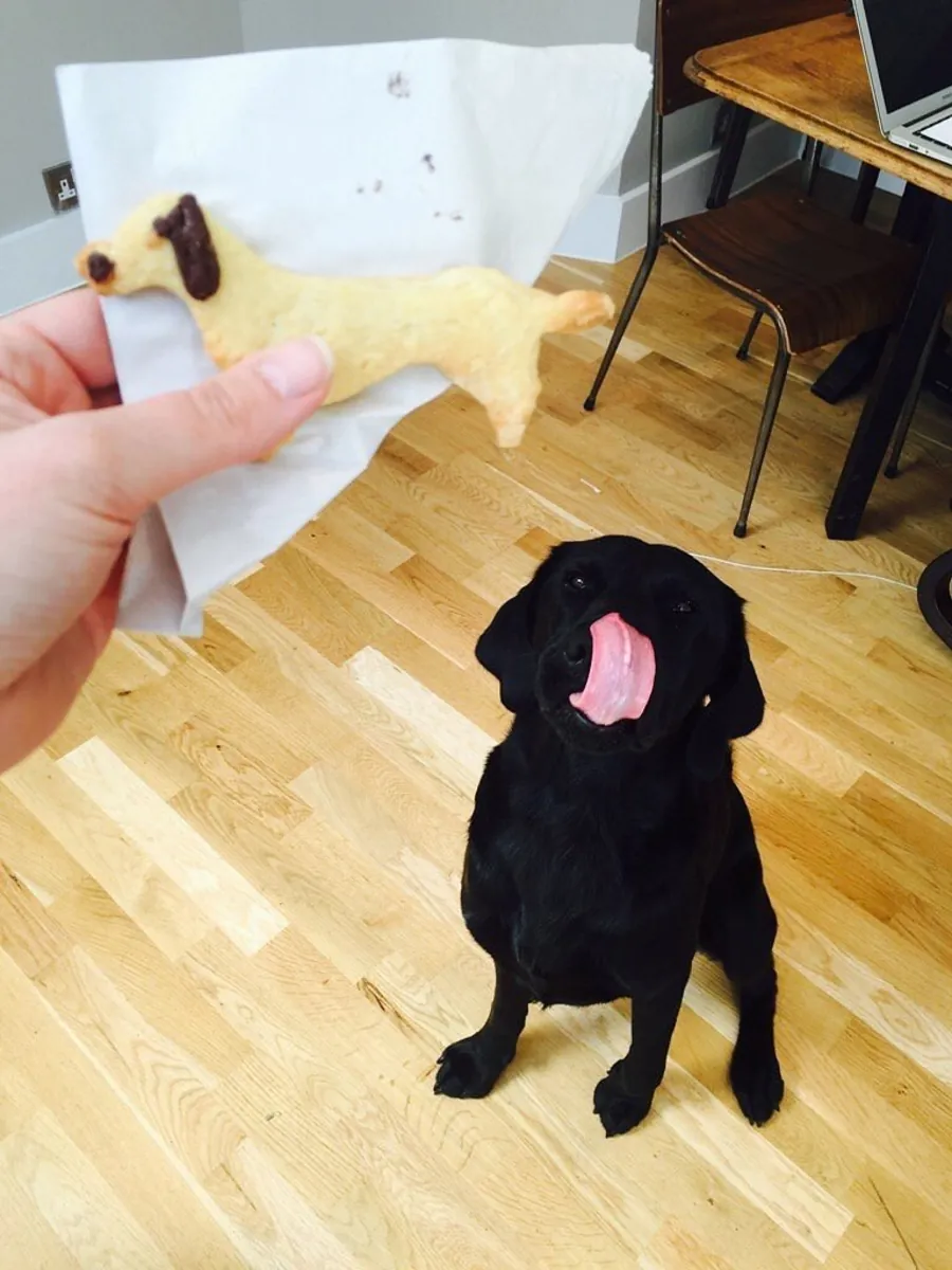 Paws & Coffee Londres - London