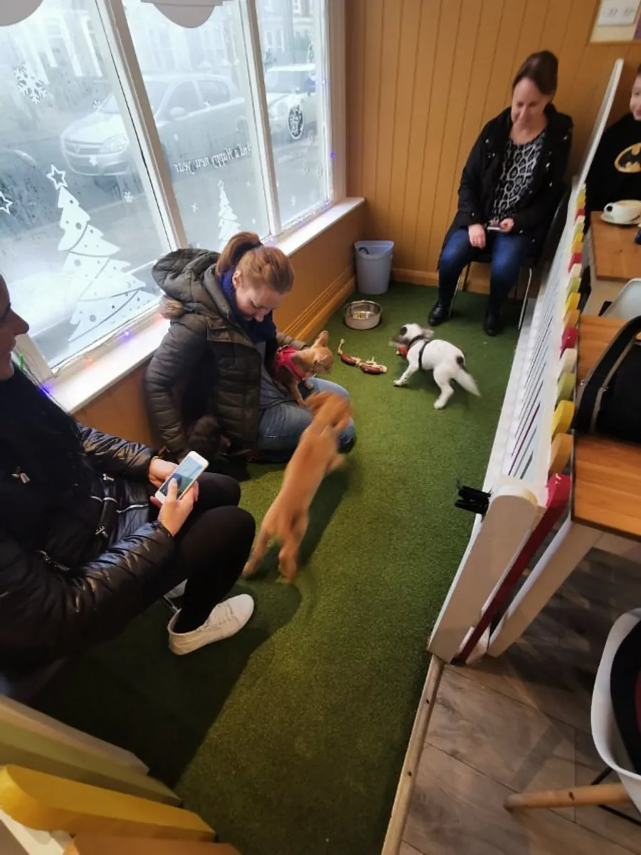 Le Barking Bistro - Manchester