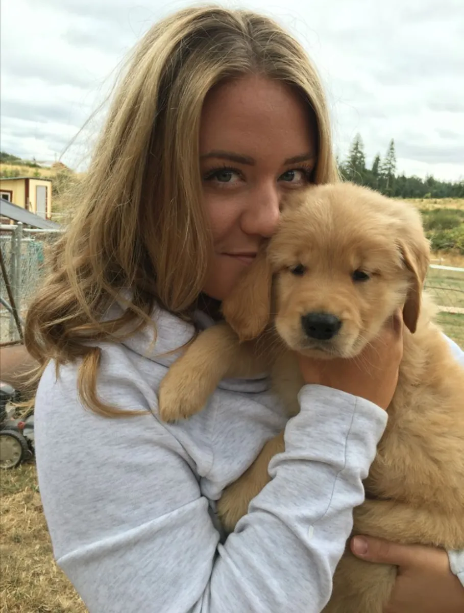 Adorable Golden Retriever Puppies Ready for Loving Homes 🐾