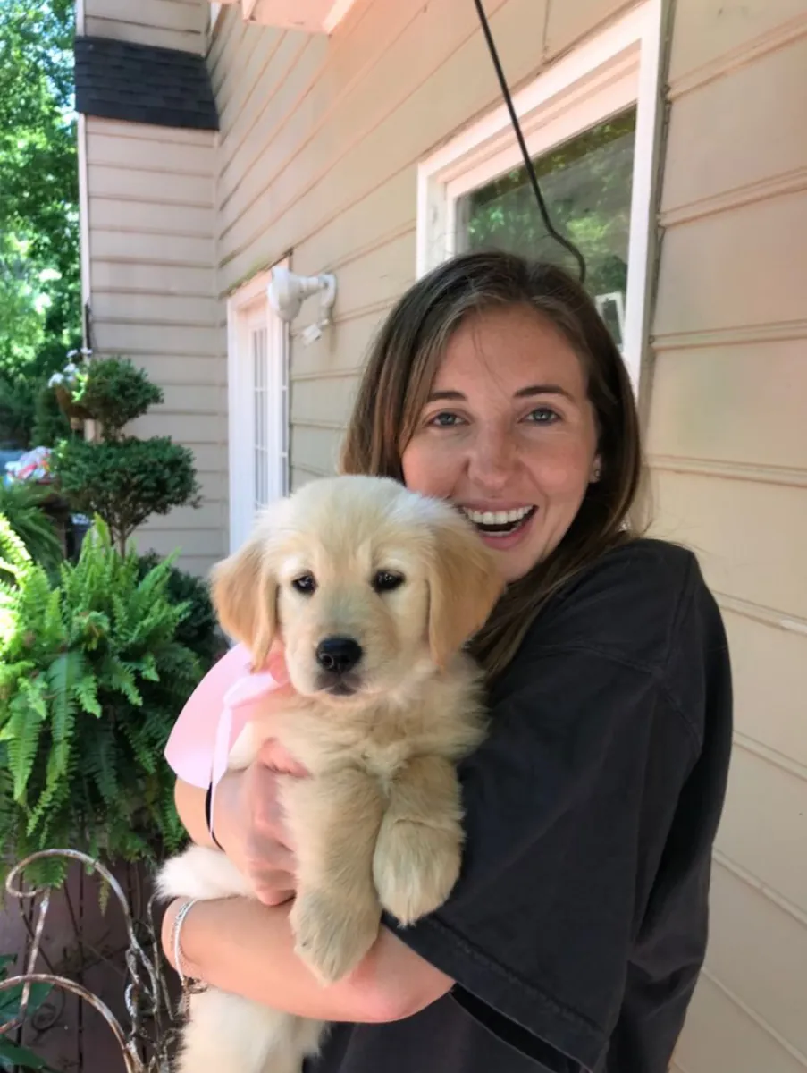 Adorable Golden Retriever Puppies Ready for Loving Homes 🐾