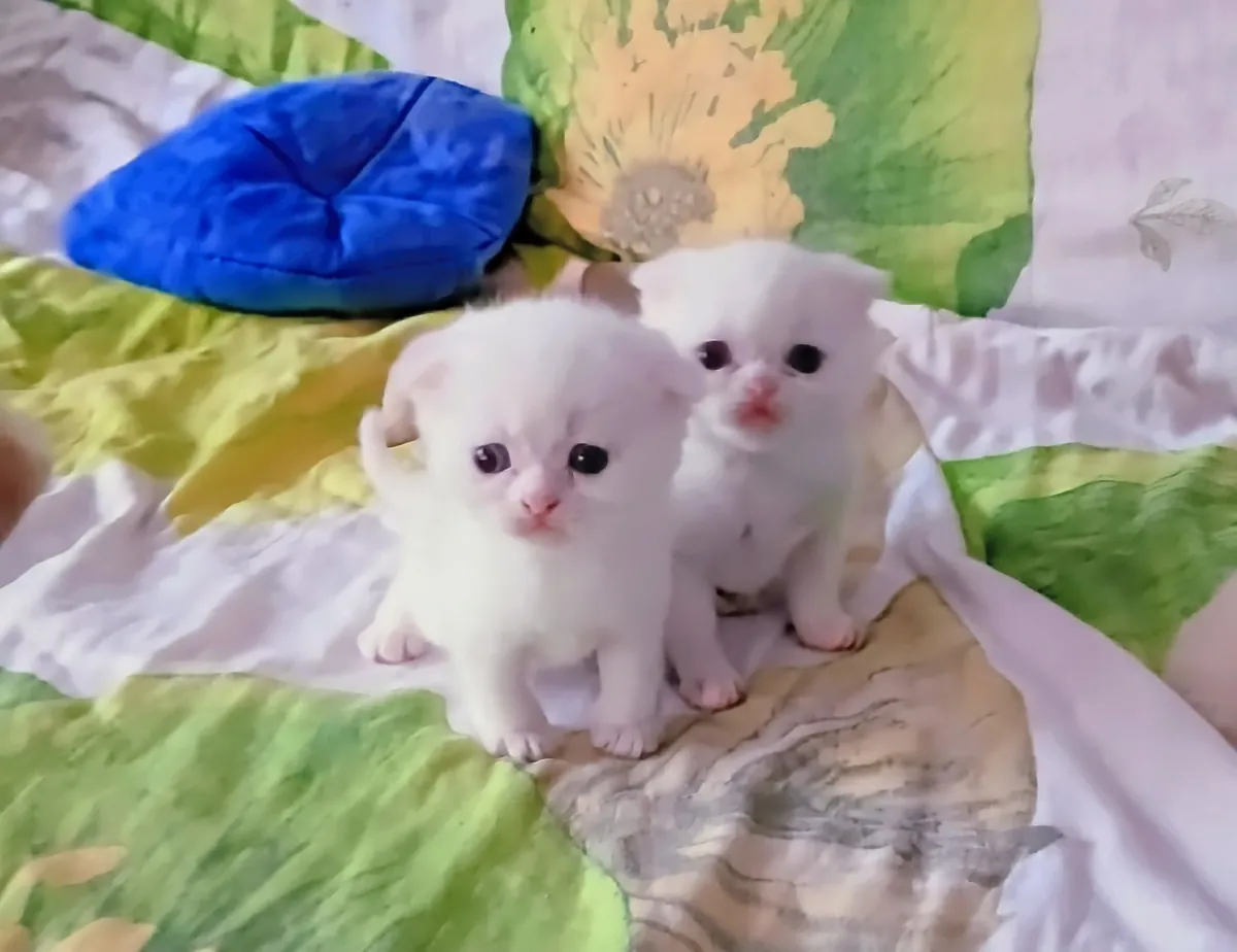 Cute siblings you'll never tire of loving.