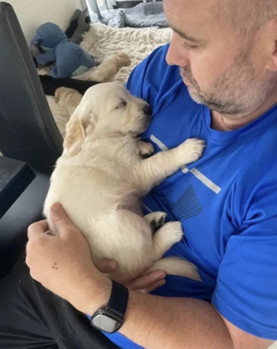 Mark Flanagan & Valerie Rochard  Golden Retriever Age 9 weeks old 